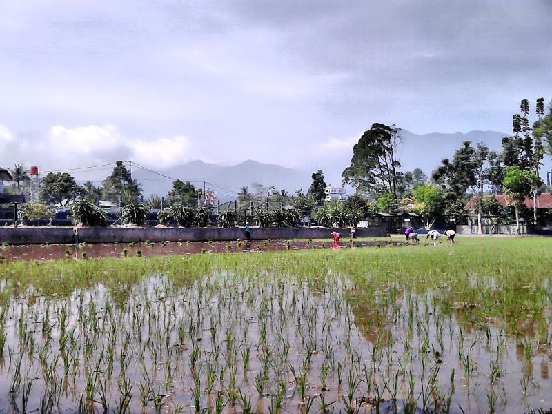 Aries Biru Resort Cisarua Luaran gambar